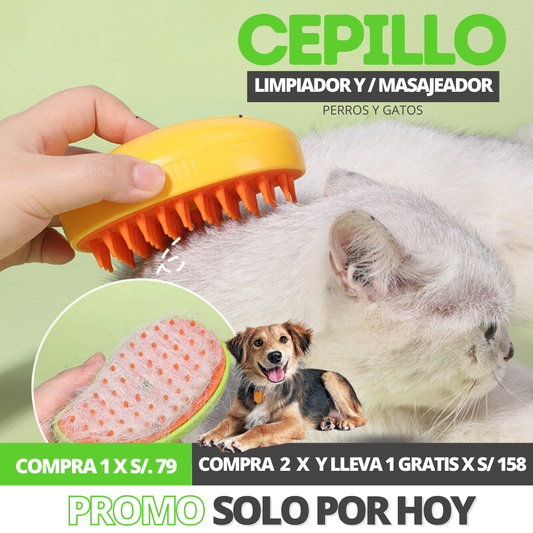 CEPILLO DE VAPOR RECARGABLE I Envío gratis🎁